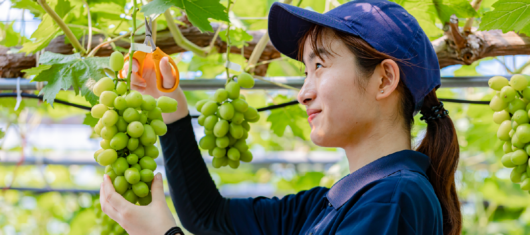 果樹専攻はこちらをクリック