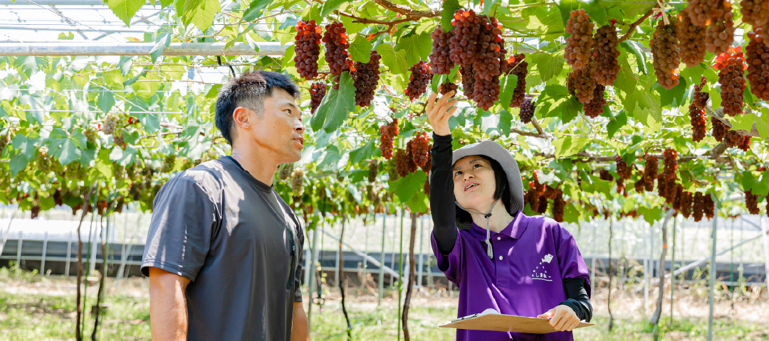 短期育成コースはこちらをクリック