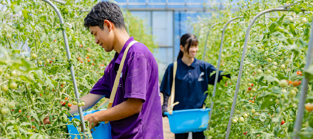 有機農業専攻はこちらをクリック