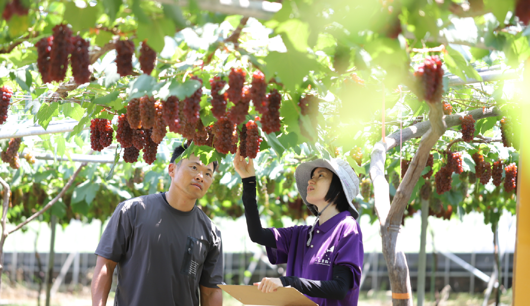 短期養成コース 島根県立農林大学校