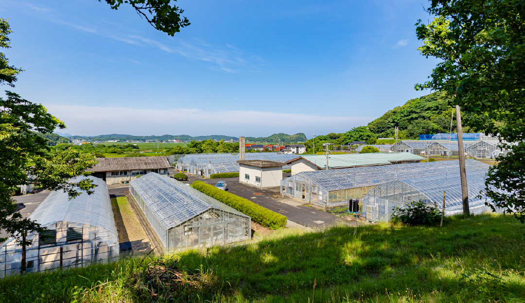 最新トピックス 島根県立農林大学校