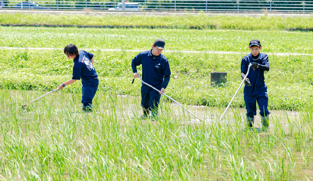 研修部門 島根県立農林大学校
