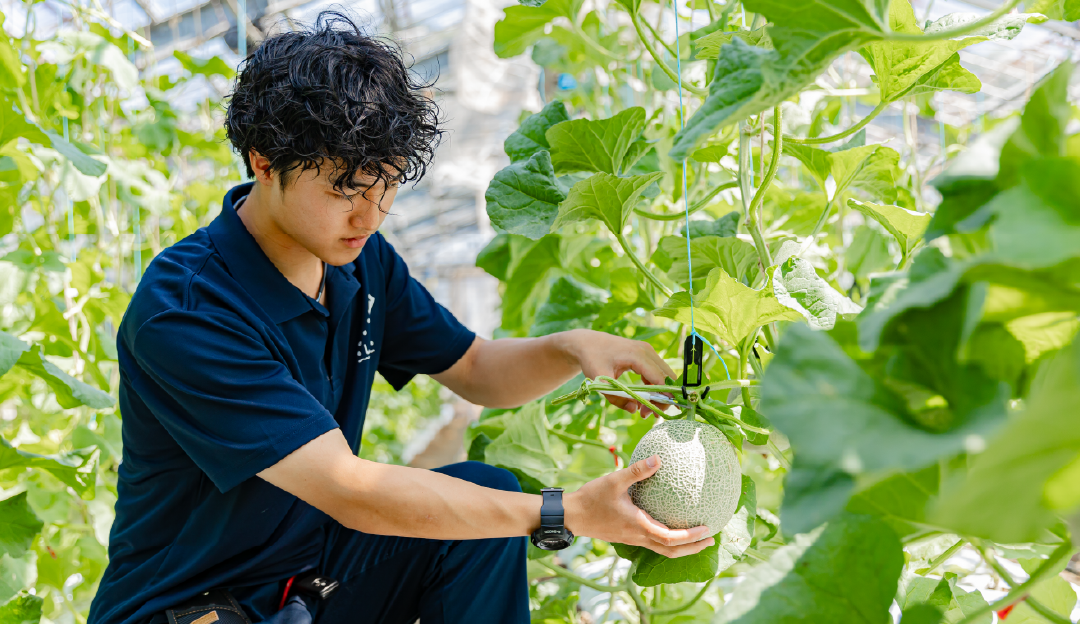 野菜専攻 島根県立農林大学校