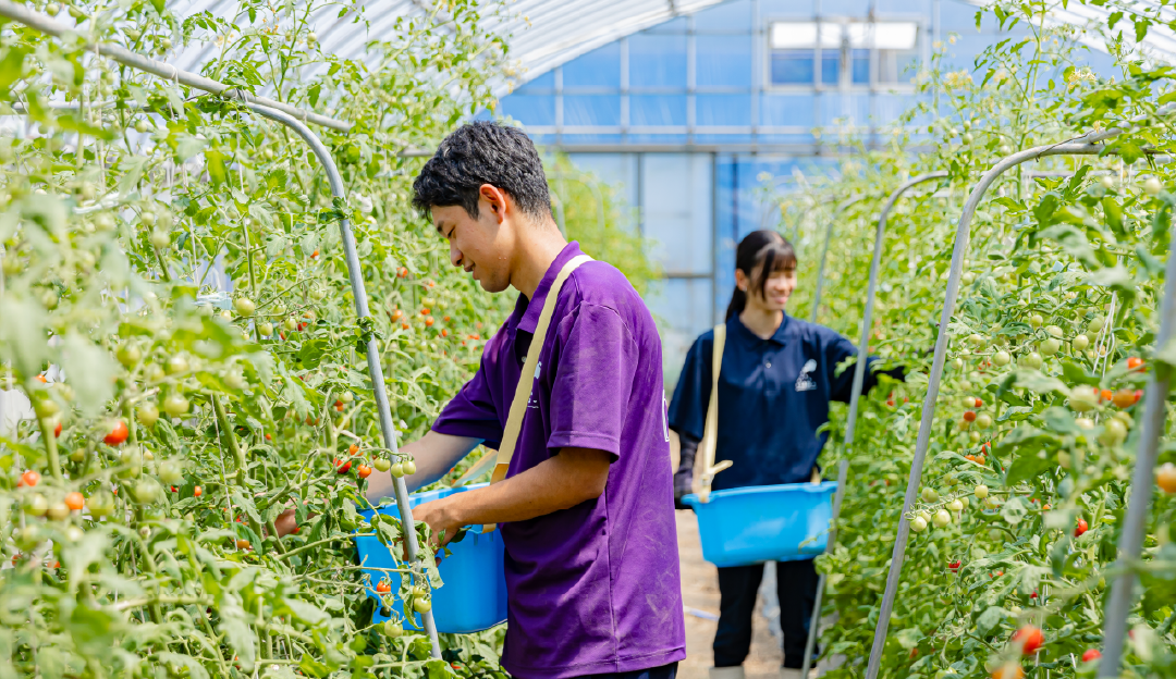 有機農業専攻 島根県立農林大学校
