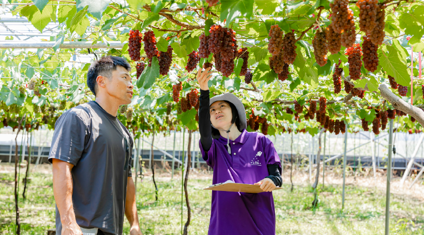 短期養成コース