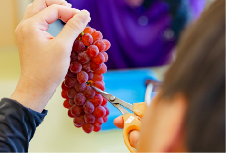 果樹専攻実習の様子画像