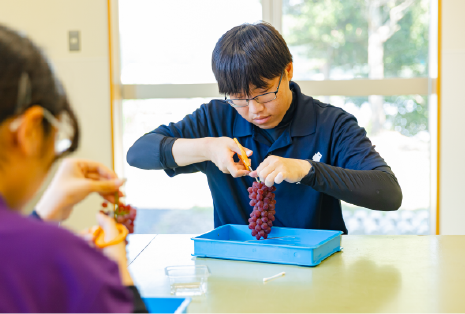 果樹専攻実習の様子画像