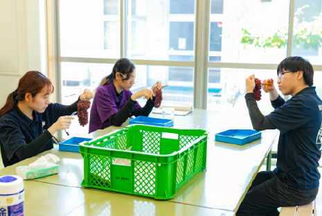 果樹専攻実習の様子画像