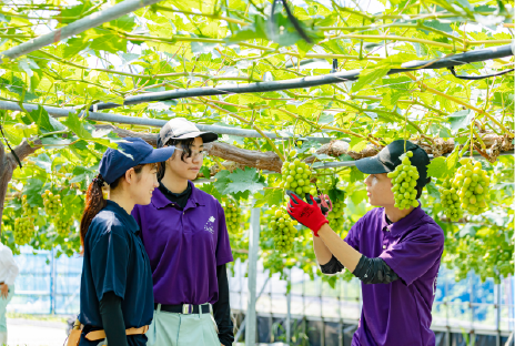 果樹専攻実習の様子画像
