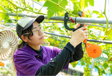 果樹専攻実習の様子画像