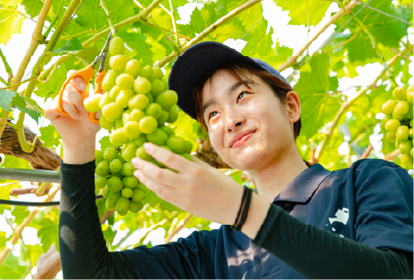 果樹専攻実習の様子画像