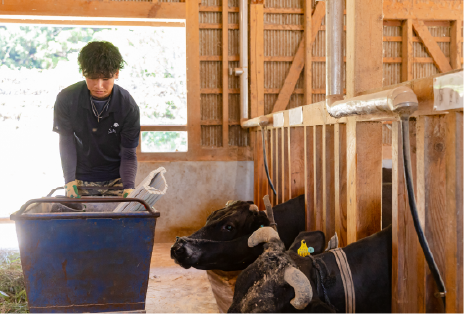 肉用牛専攻実習の様子画像