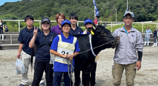 肉用牛専攻実習の様子画像