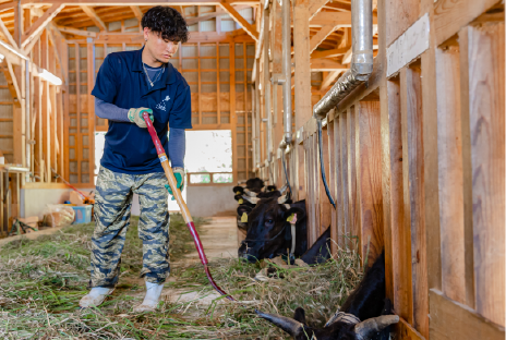肉用牛専攻実習の様子画像