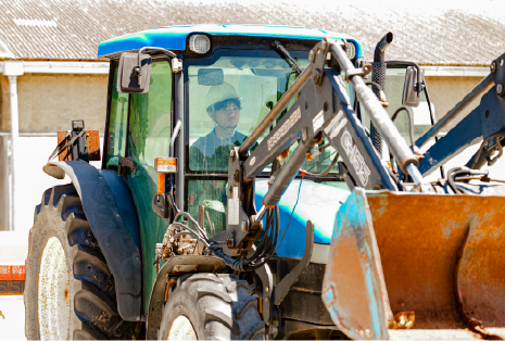 肉用牛専攻実習の様子画像