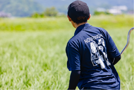 水田コースのイメージ画像