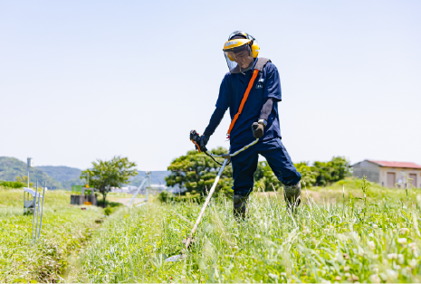 水田コースのイメージ画像