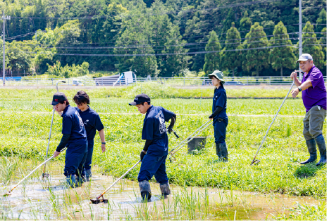 水田コースのイメージ画像