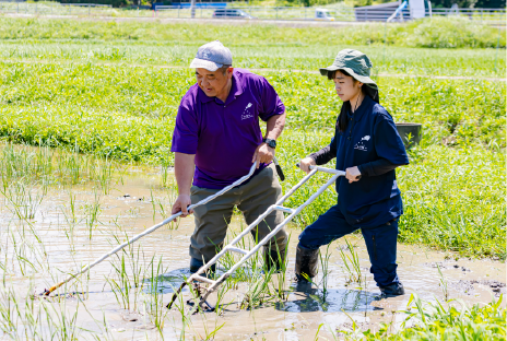 水田コースのイメージ画像