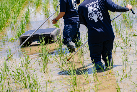 水田コースのイメージ画像