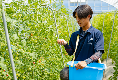 水田コースのイメージ画像