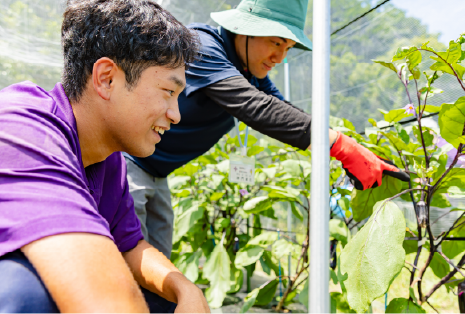 水田コースのイメージ画像