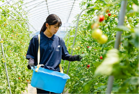 水田コースのイメージ画像