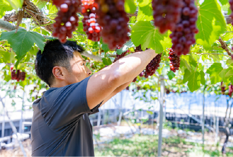 短期養成コース短期養成コースの特徴画像