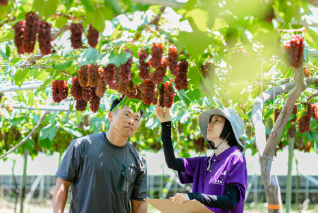 短期養成コース短期養成コースの特徴画像