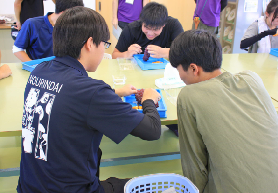 オープンキャンパス